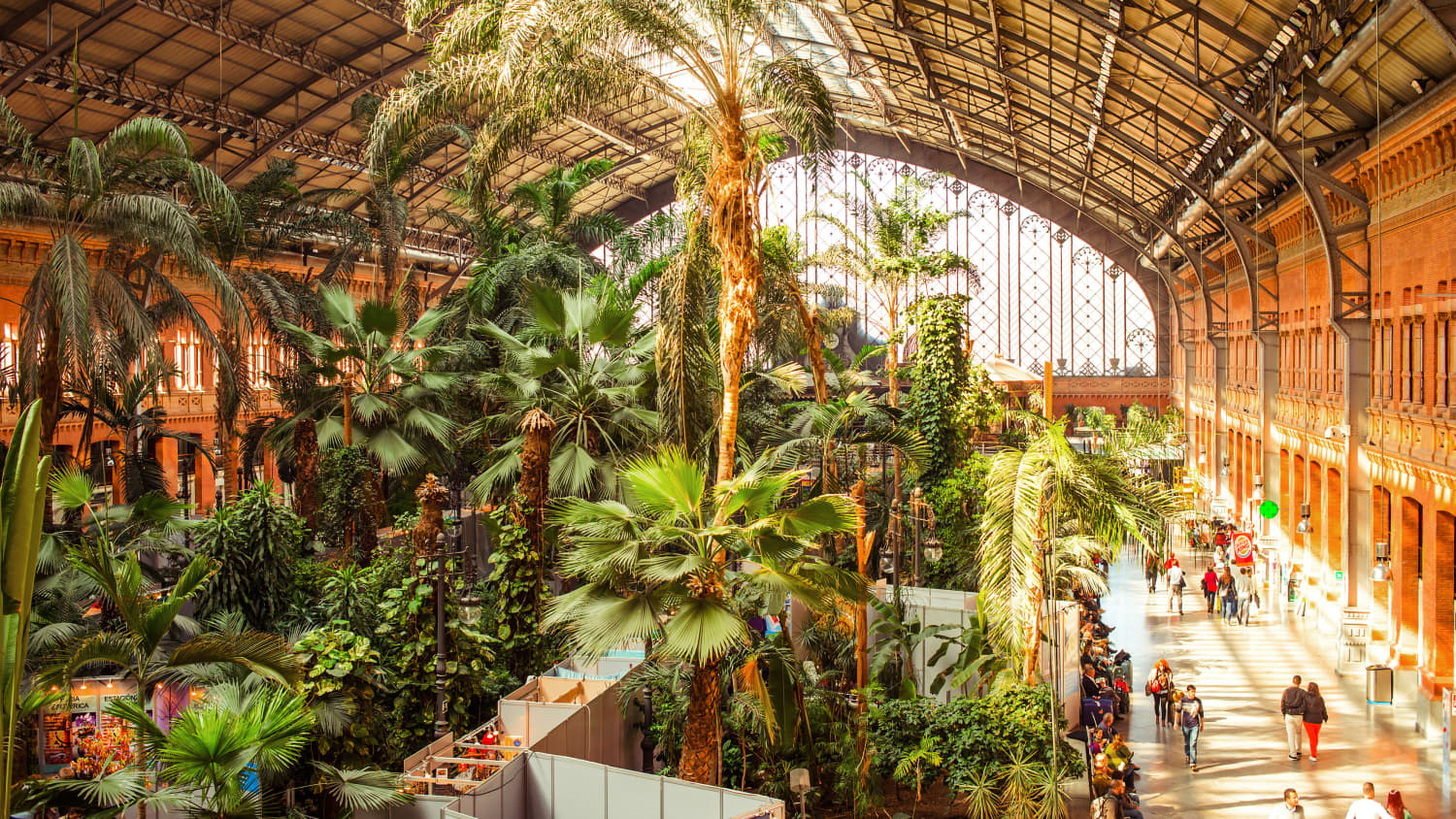 Pflanzen im Madrider Bahnhof Atocha