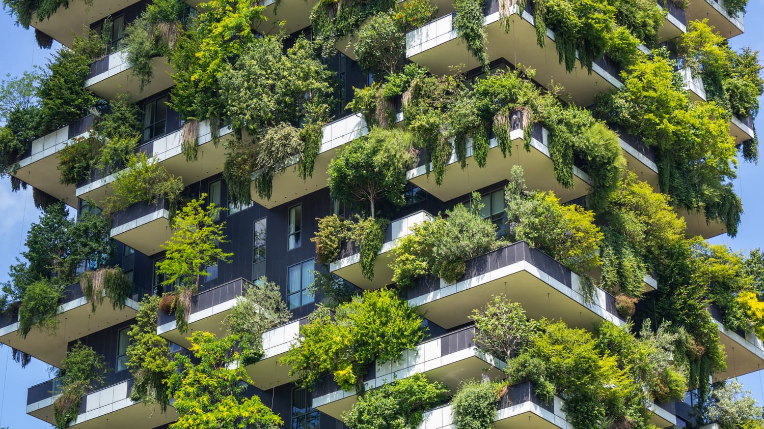 Bosco Verticale ein ökologisches Hochhaus in Mailand mit verikaler Bepflanzung