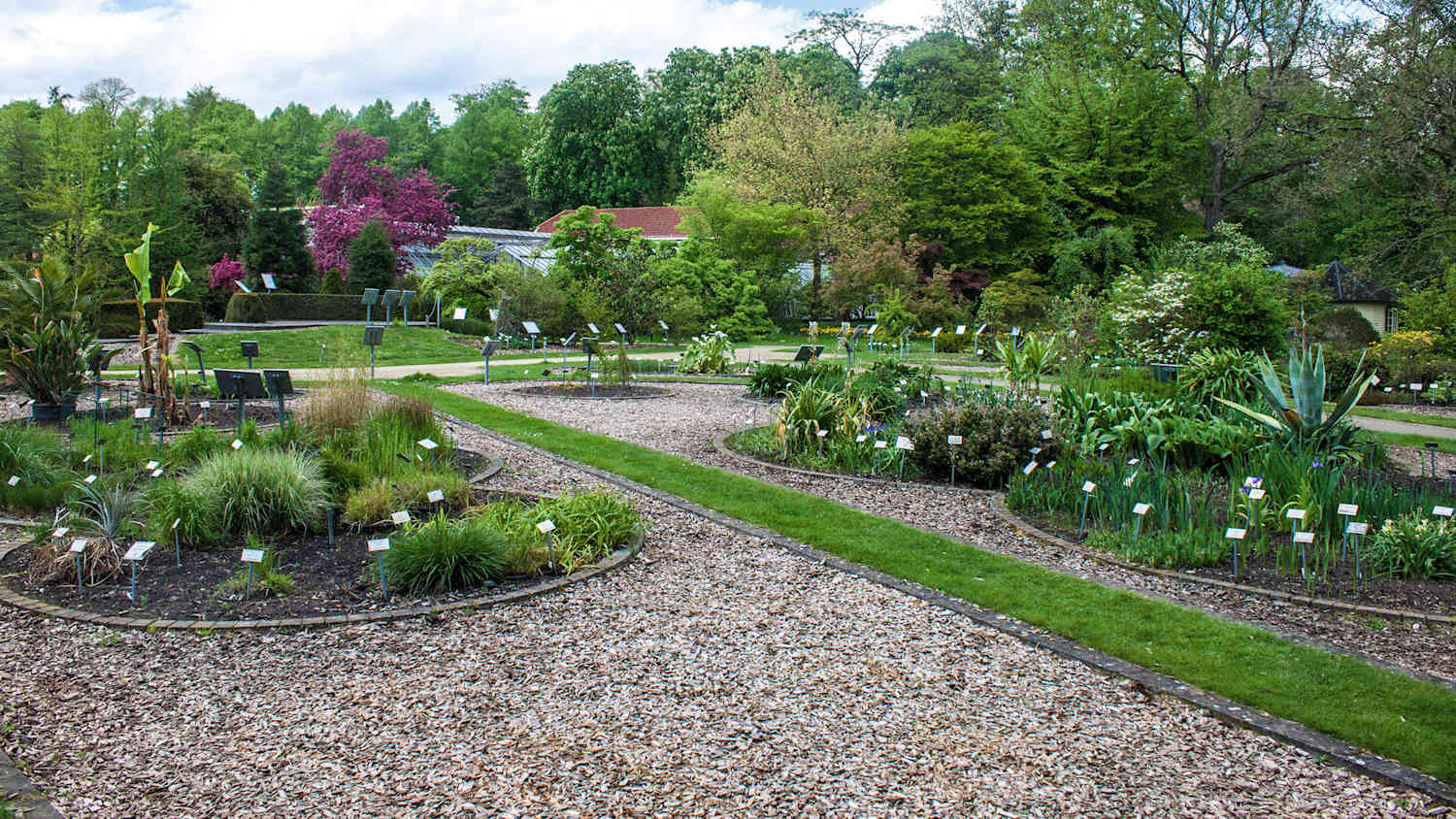 Botanischer Garten in Münster