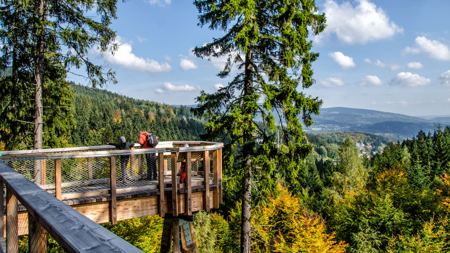 Aussichtsplattform eines Baumwipfelpfades über einem Herbstwald