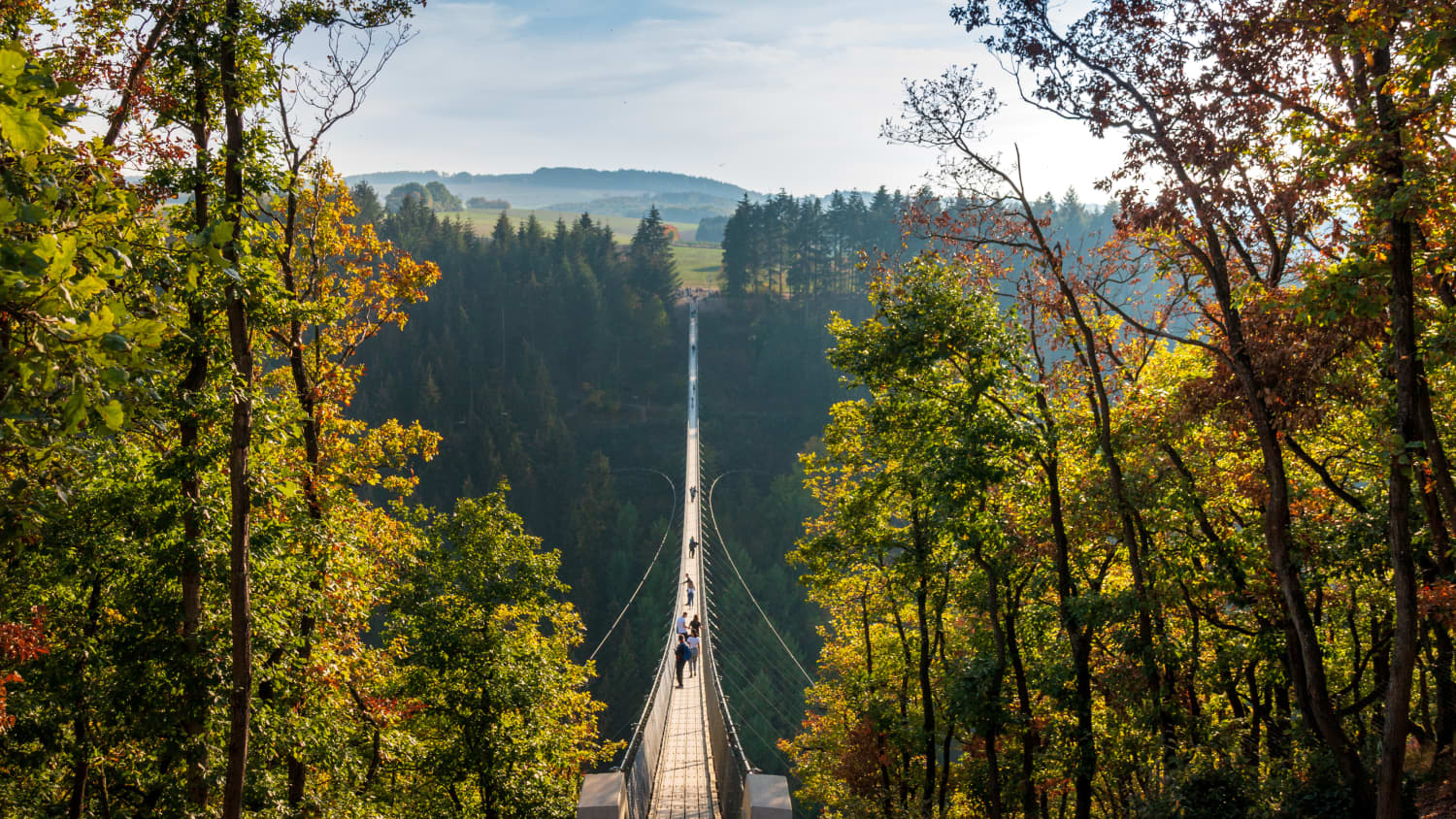 Eine lange Hängebrücke in einer herbstlichen Waldlandschaft
