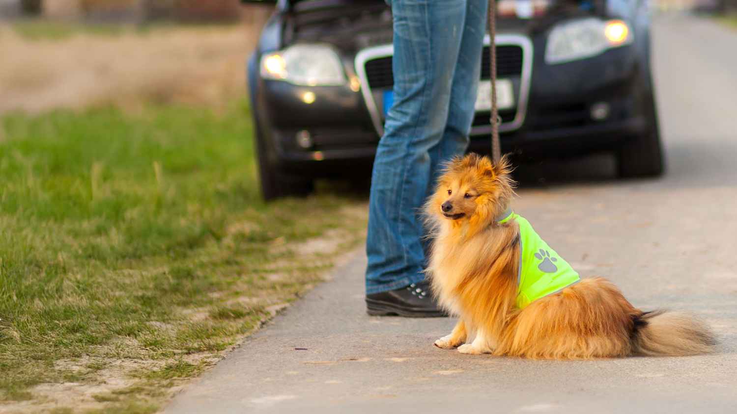 Eine Frau mit ihrem Hund neben dem Auto mit Autopanne