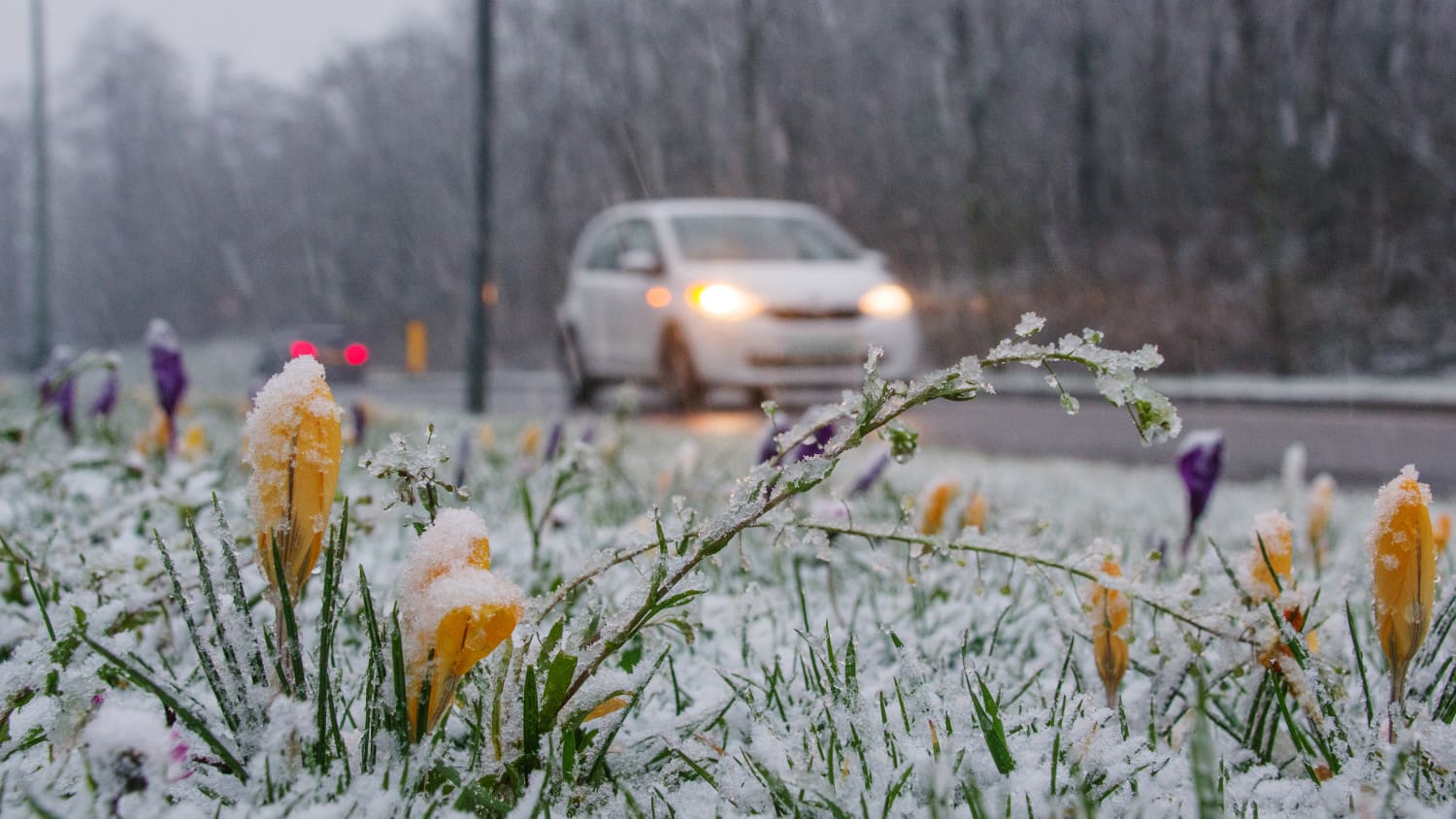 Aufnahme im Frühling eines Autos im Schnee