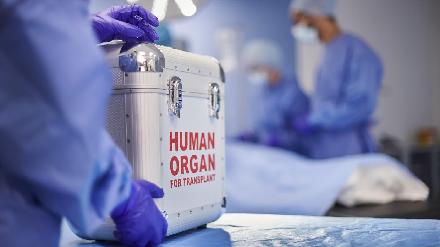Eine Organspende in Alubox wird in den OP Saal geliefert