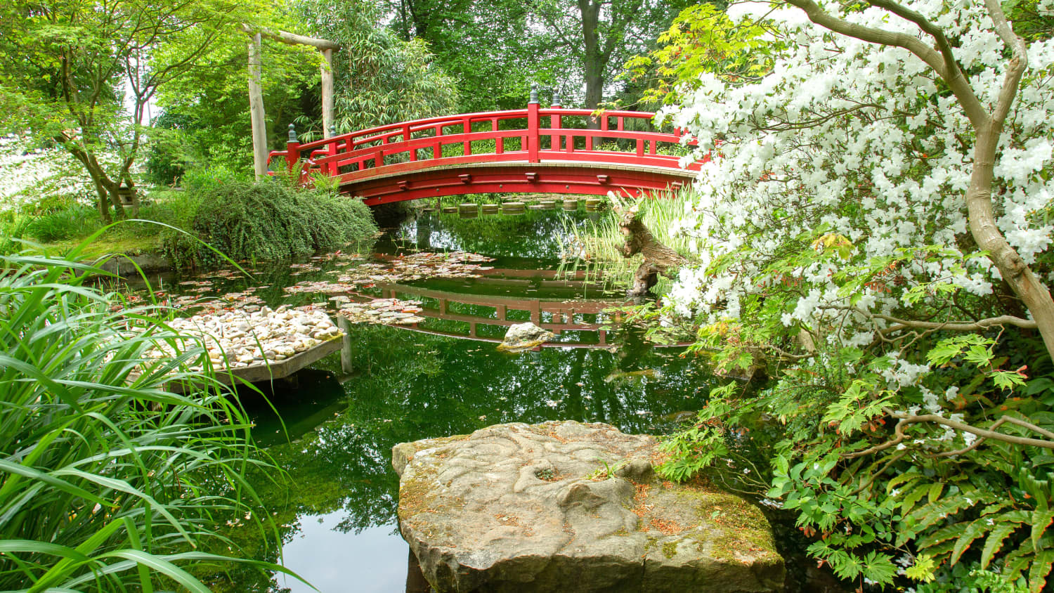 Brücke und Teich im Japanischen Garten in Leverkusen