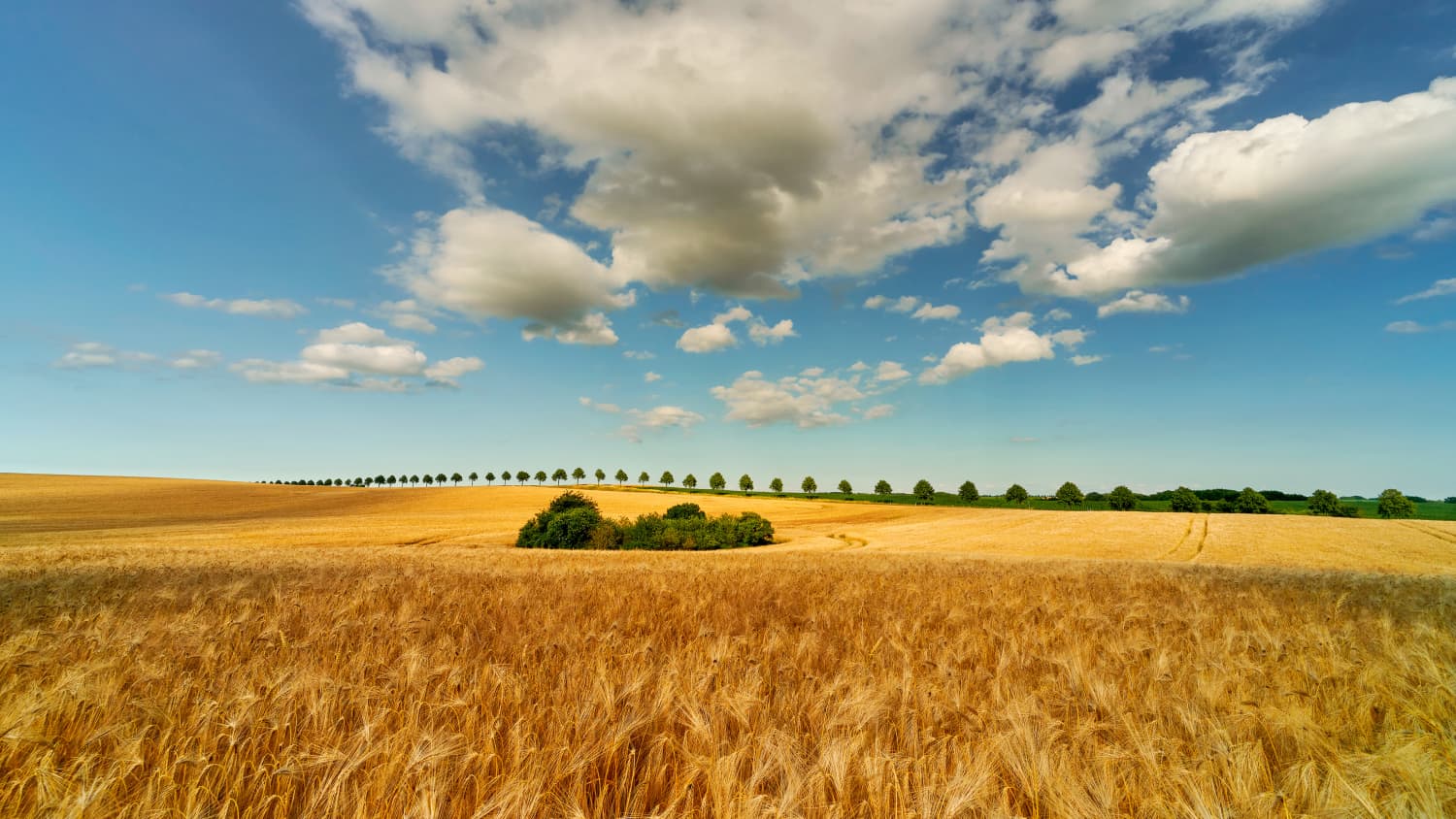 Pasewalk liegt an einem der schönsten Radwanderwege Europas, dem Berlin-Usedom-Radweg
