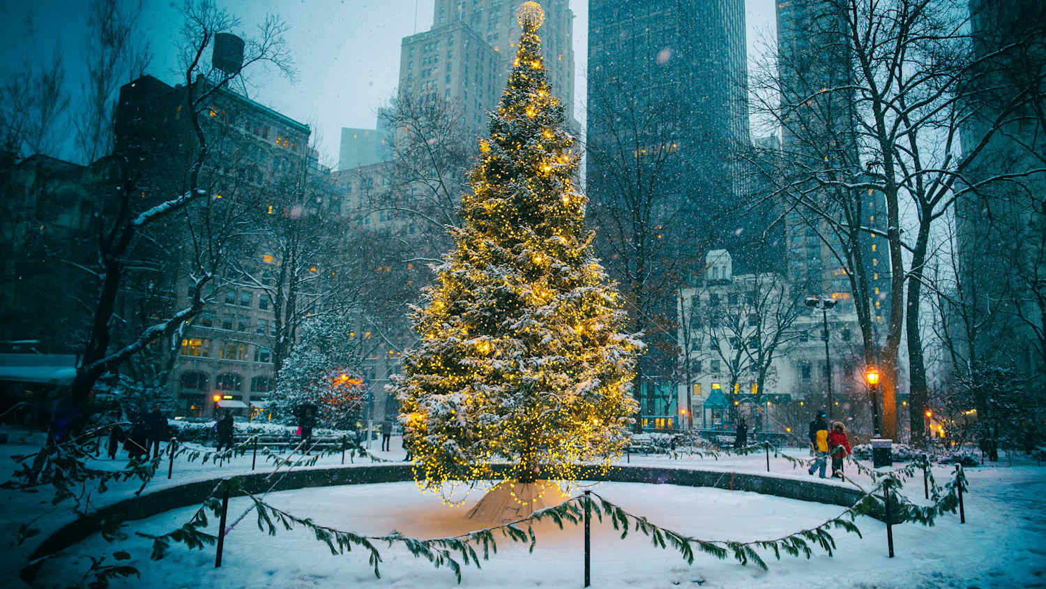 Ein Weihnachtsbaum schön beleuchtet in New York