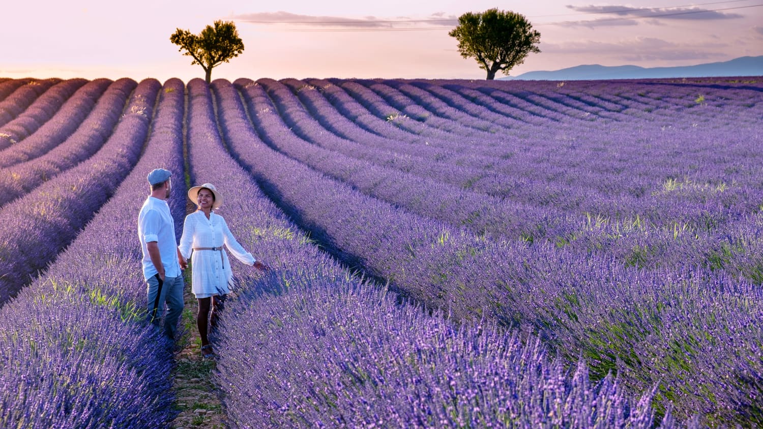Pärchen in einem Lavendelfeld in der Provence in Frankreich