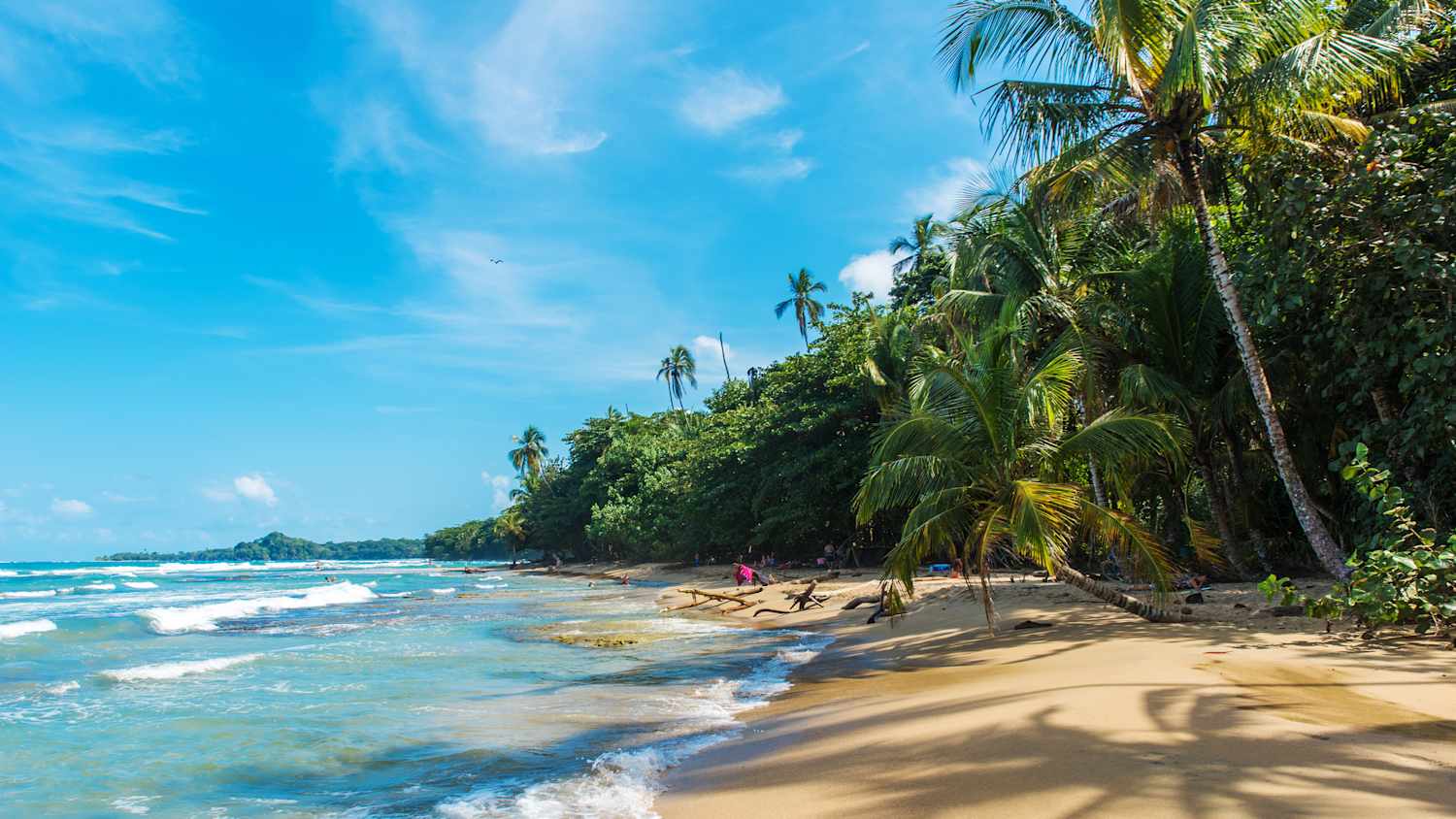 Palmen am Strand von Chiquita in Costa Rica