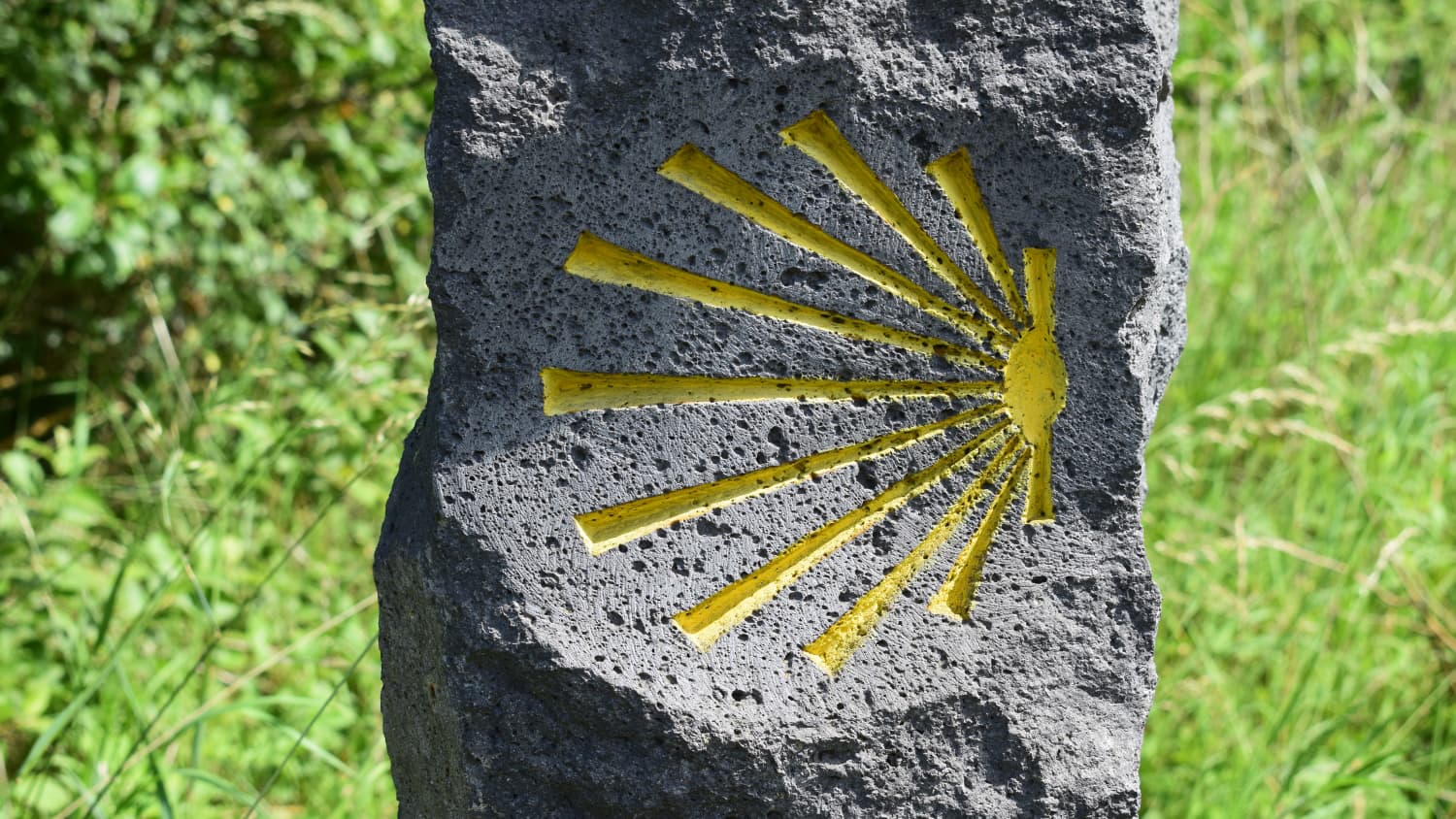 Gelbe Muschel des Jakobsweg an einem Stein