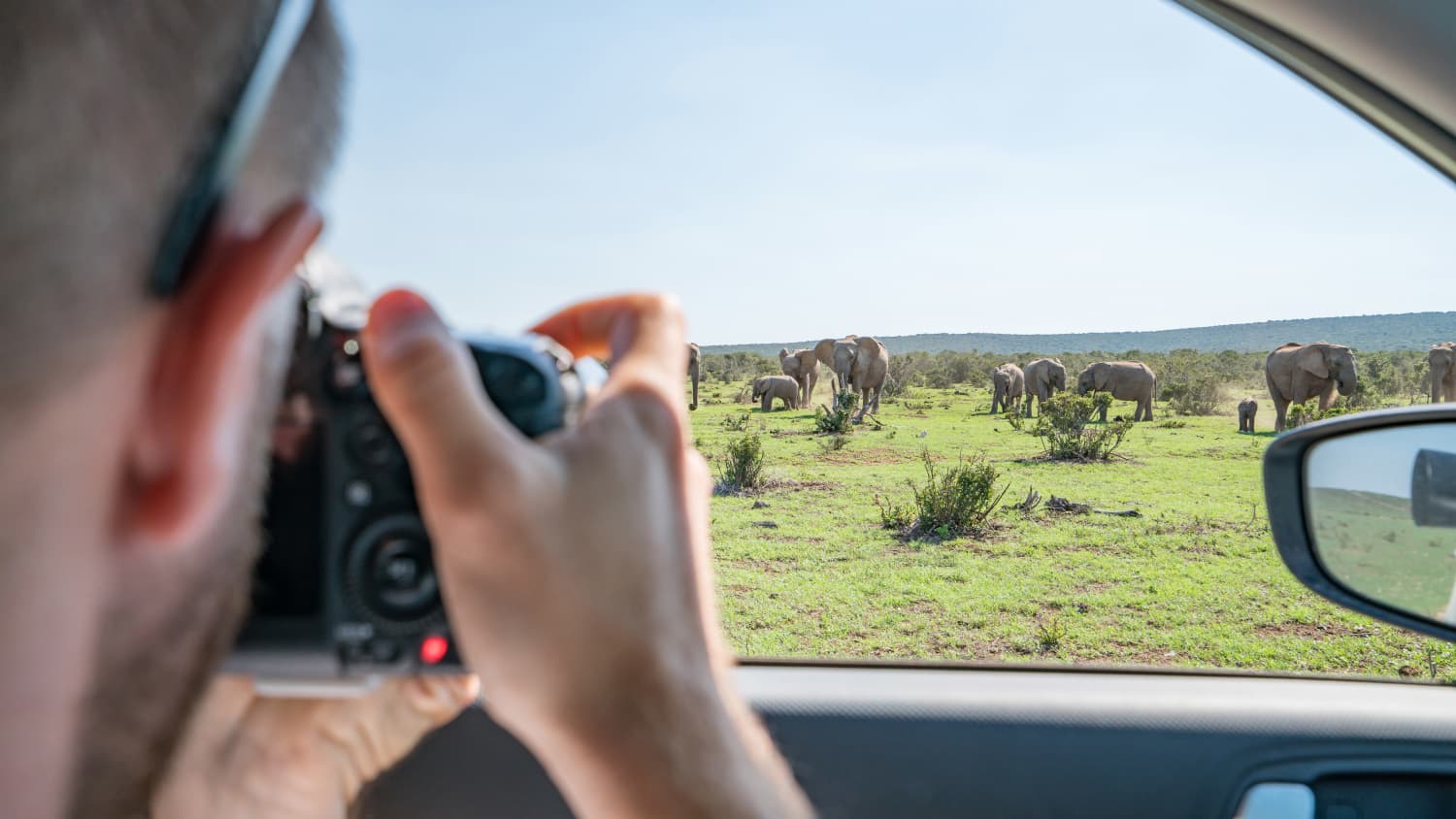 Ein Tourist fotografiert im Addo Elephant National Park in Südafrika eine Elefantenherde
