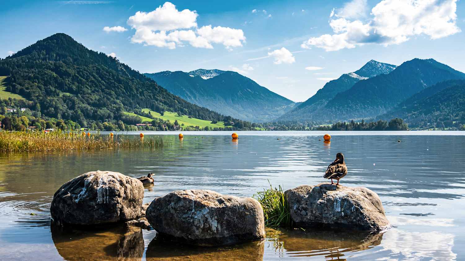 Schliersee in Bayern