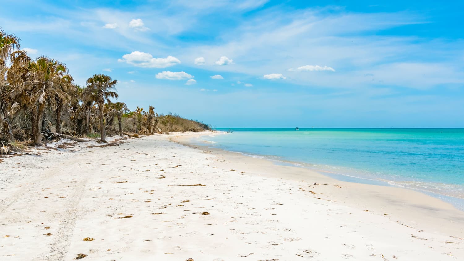 Weißer Strand mit türkisfarbenen Wasser und Palmen