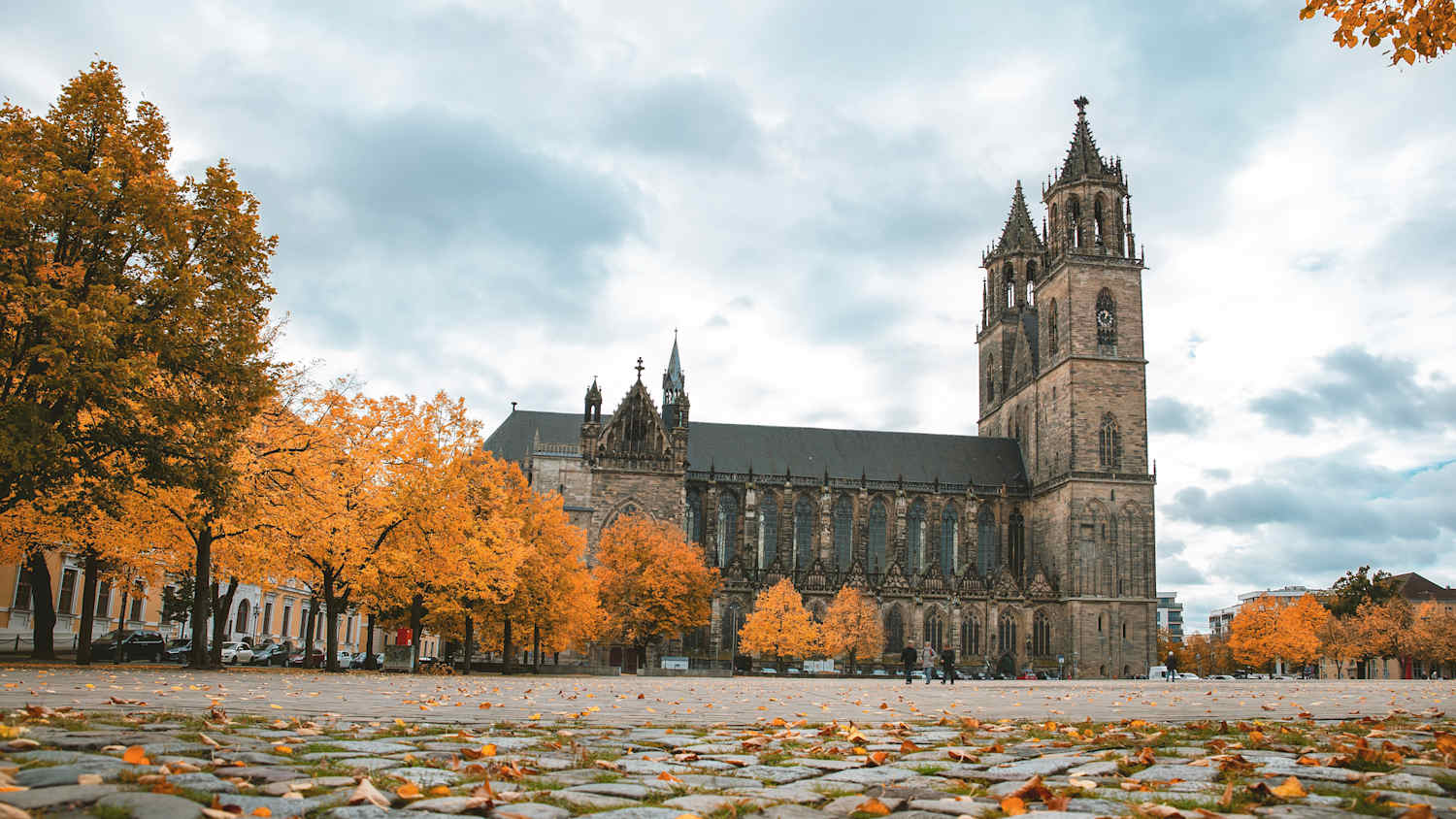 Der Dom von Magdeburg im Herbst