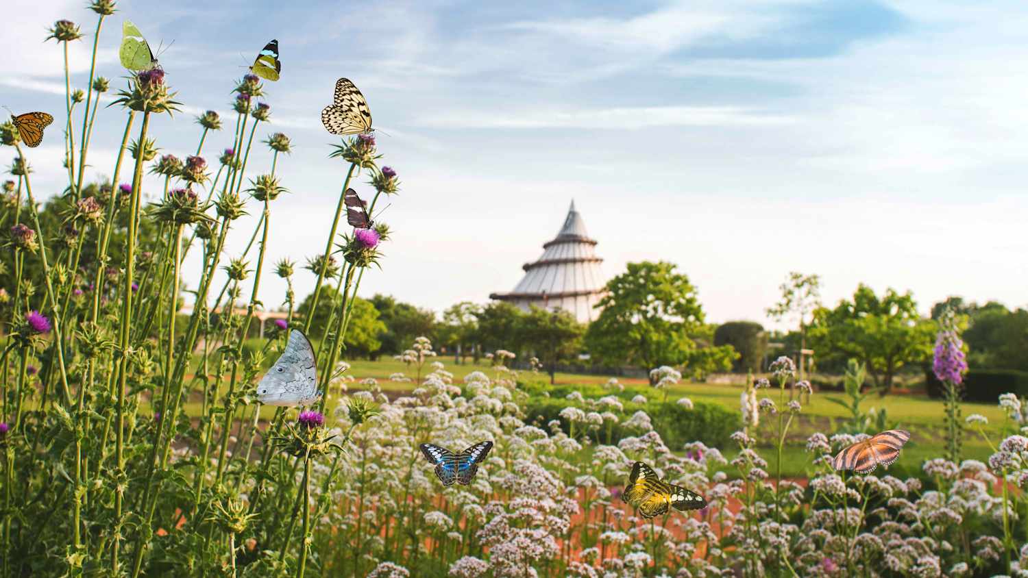 Der Elbauenpark in Magdeburg mit dem Milleniumtower