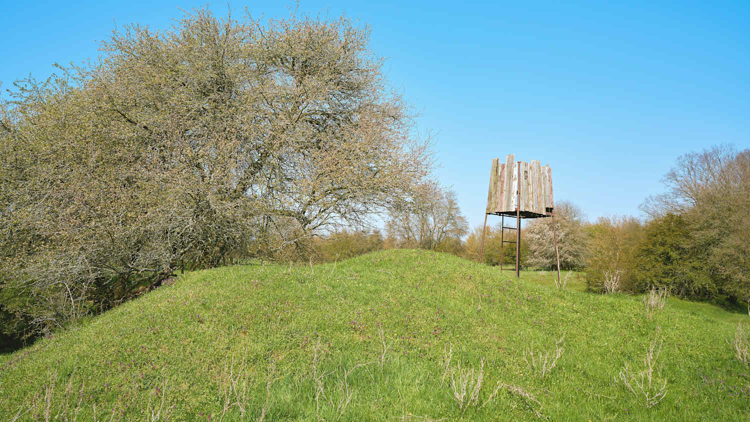 Blick in den Herrenkrugparkt bei Magdeburg