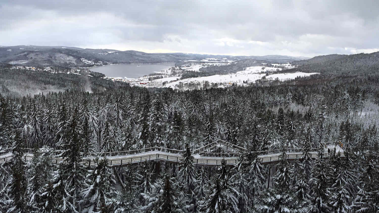 Blick auf den Baumwipfelpfad Lipno