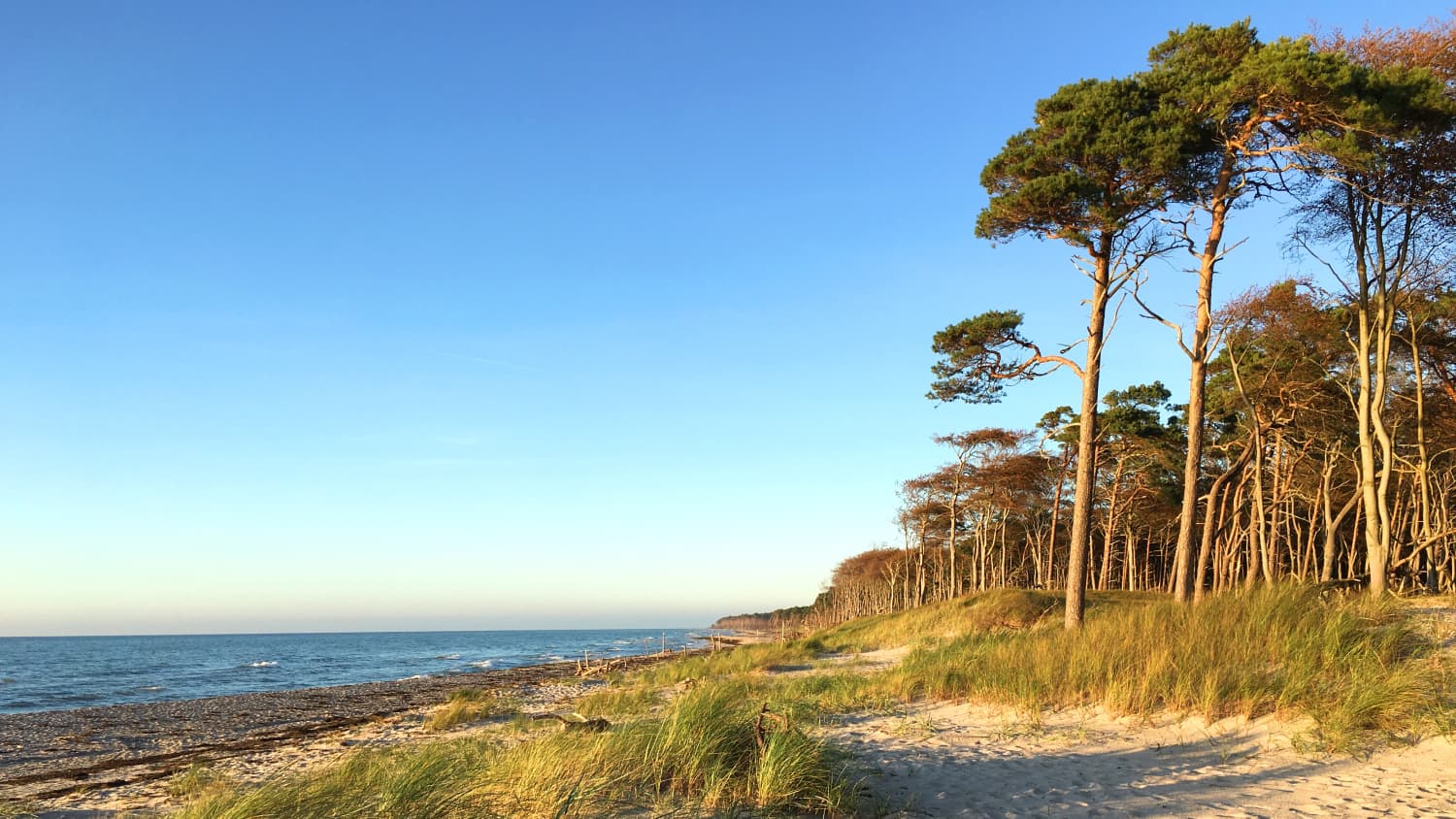 Strand von Fischland-Darß-Zingst