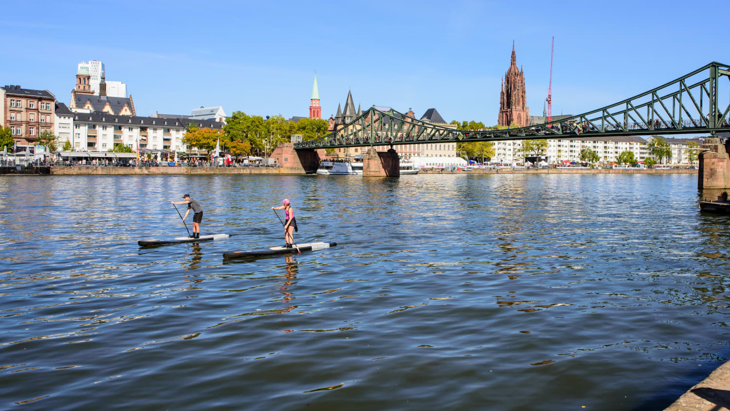 Zwei SUP-Fahrer auf dem Main in der Stadt Frankfurt