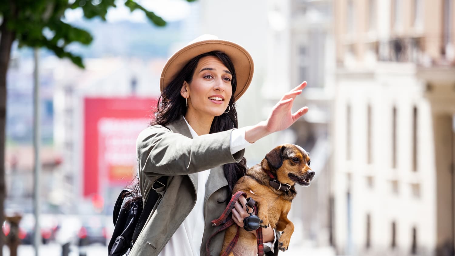 Eine Frau mit ihrem Hund, die durch handheben auf sich aufmerksam macht um ein Taxi zu bekommen