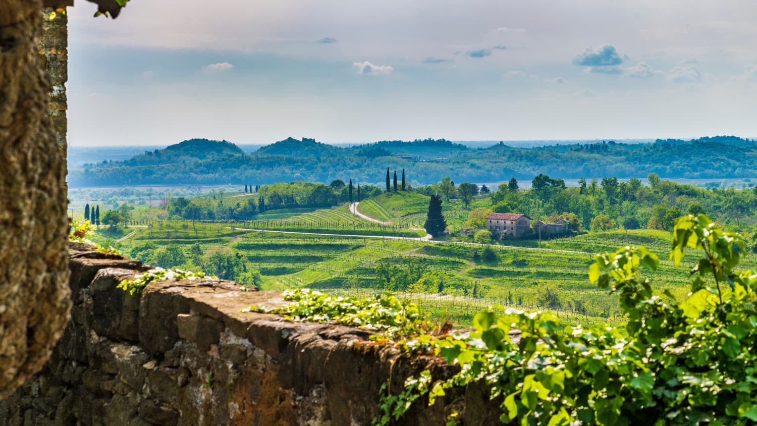 Eine Panoramaaufnahme des Das DOC-Weinbaugebiet des Collio