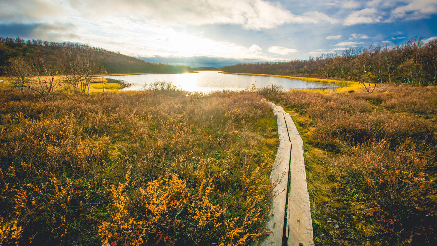 Herbst im Kevo Nationalpark in Finnland