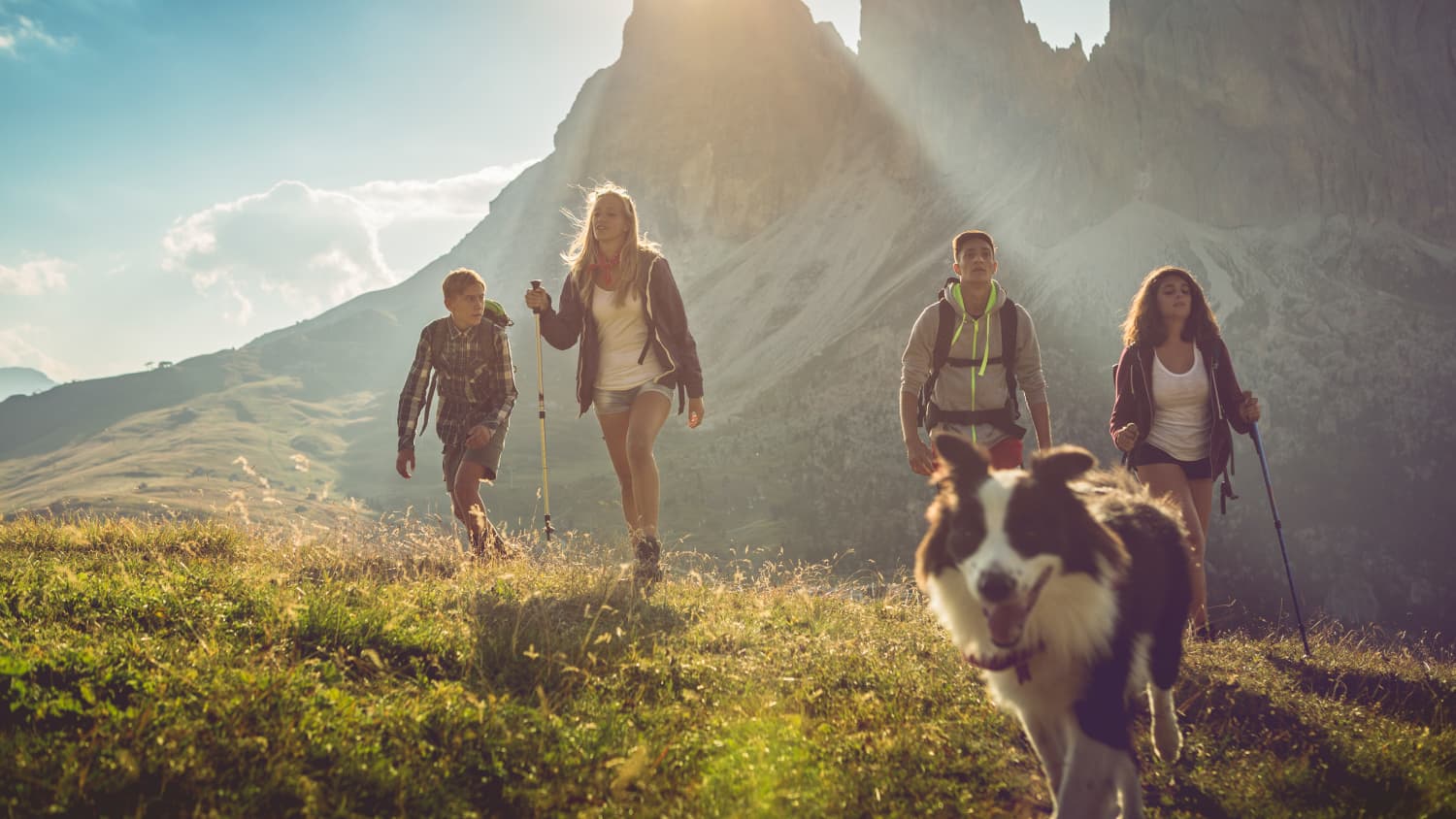eine Gruppe junger Leute wandert mit ihrem Hund in den Bergen