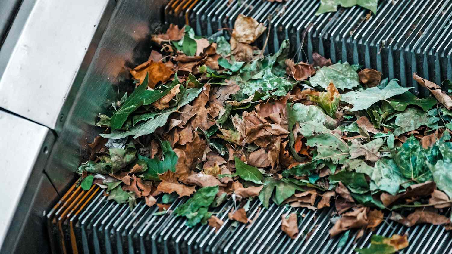 Herbstlaub liegt auf einer Rolltreppe