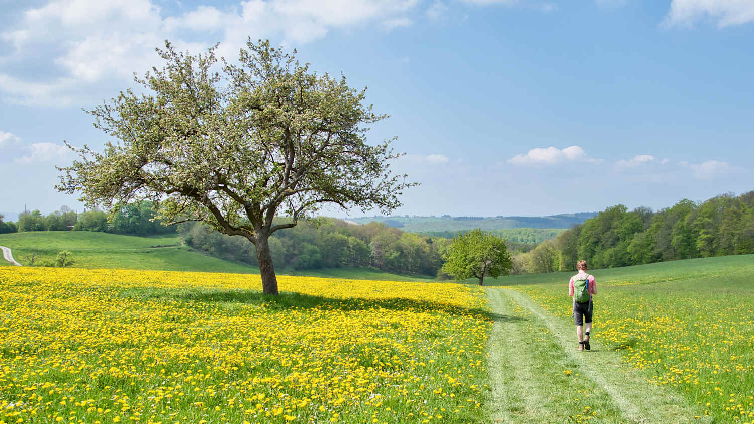 Ein Mann wandert im Frühling auf einem Wanderweg in Deutschland