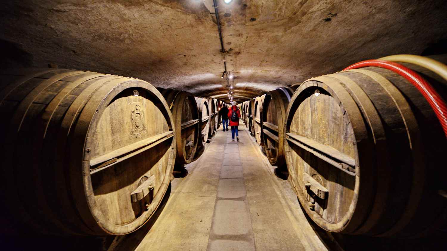 Alte Weinfässer lagern im Keller