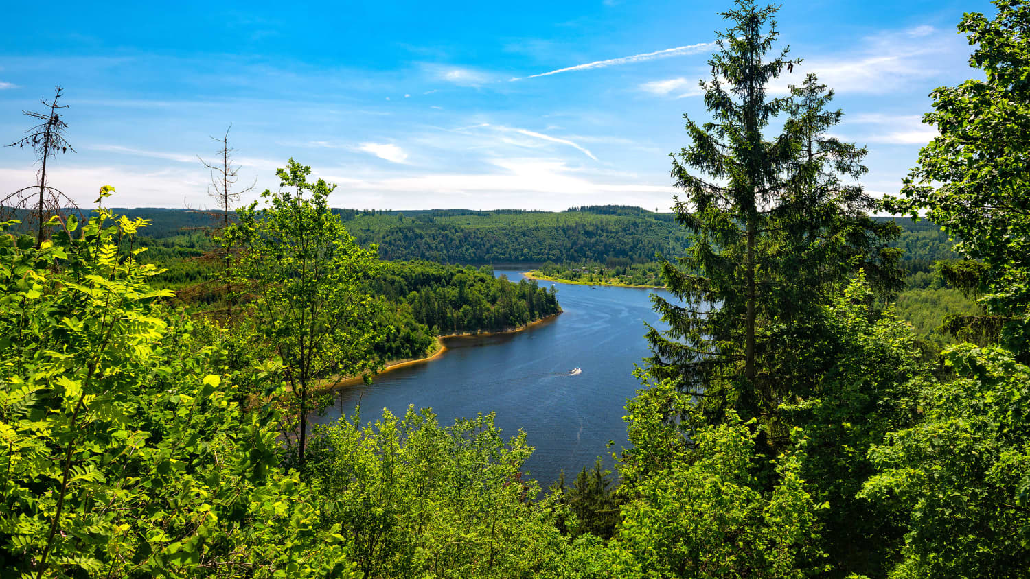 Bluck auf die Bleilochtalsperre