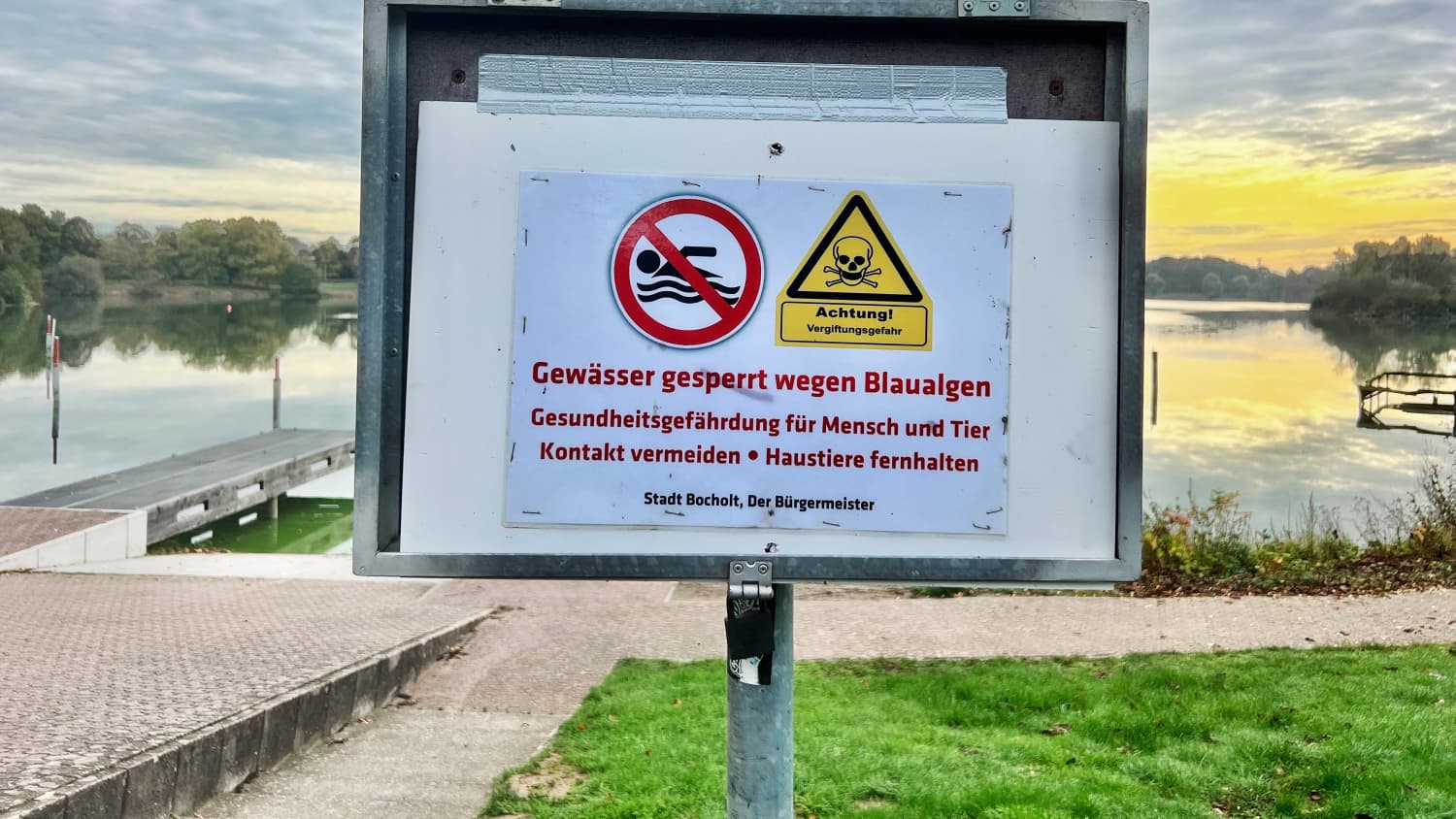 Ein Schild welches vor den Blaualgen am Bocholter Aasee warnt