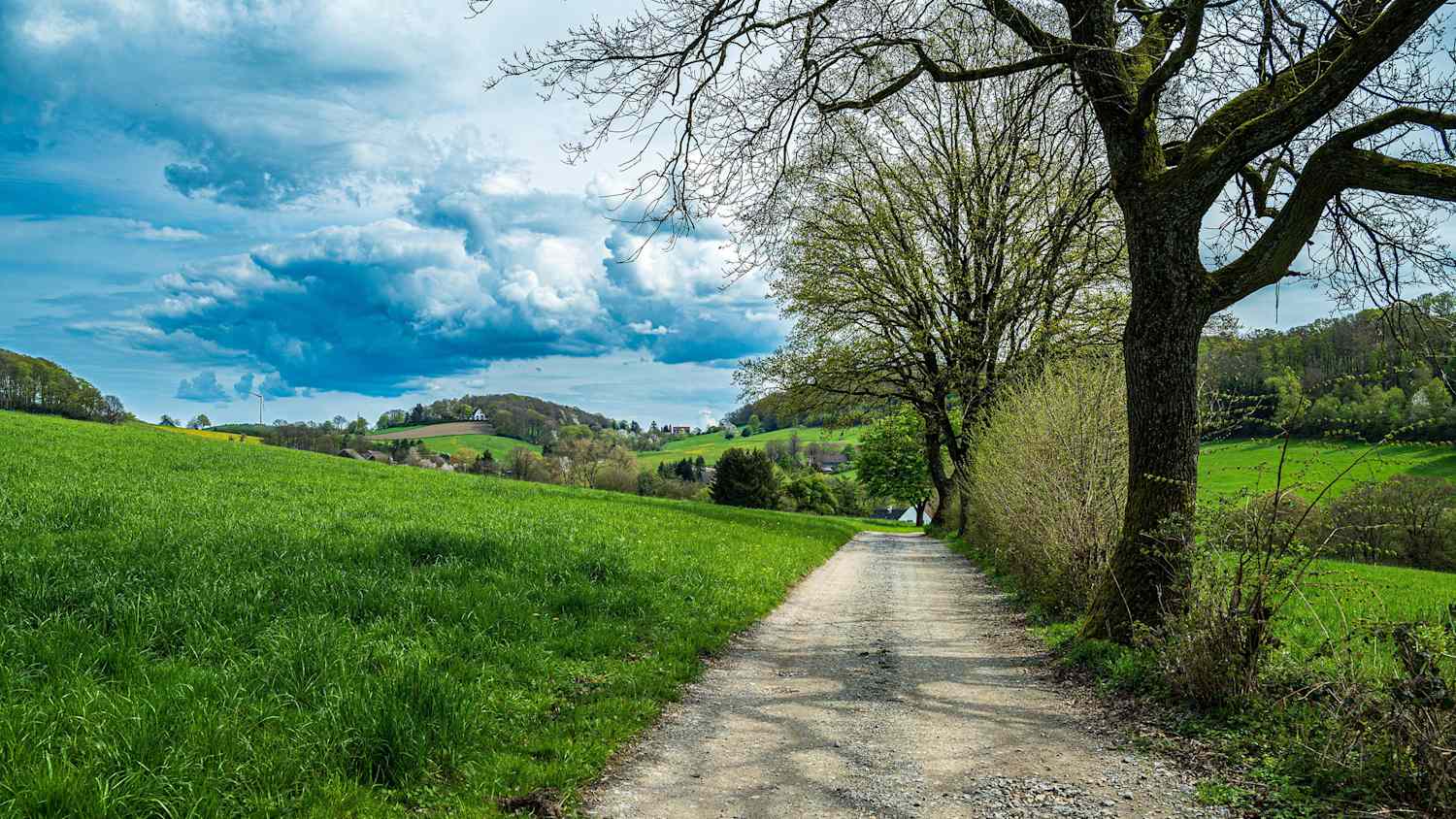 Landschaft im Deilbachtal bei Essen