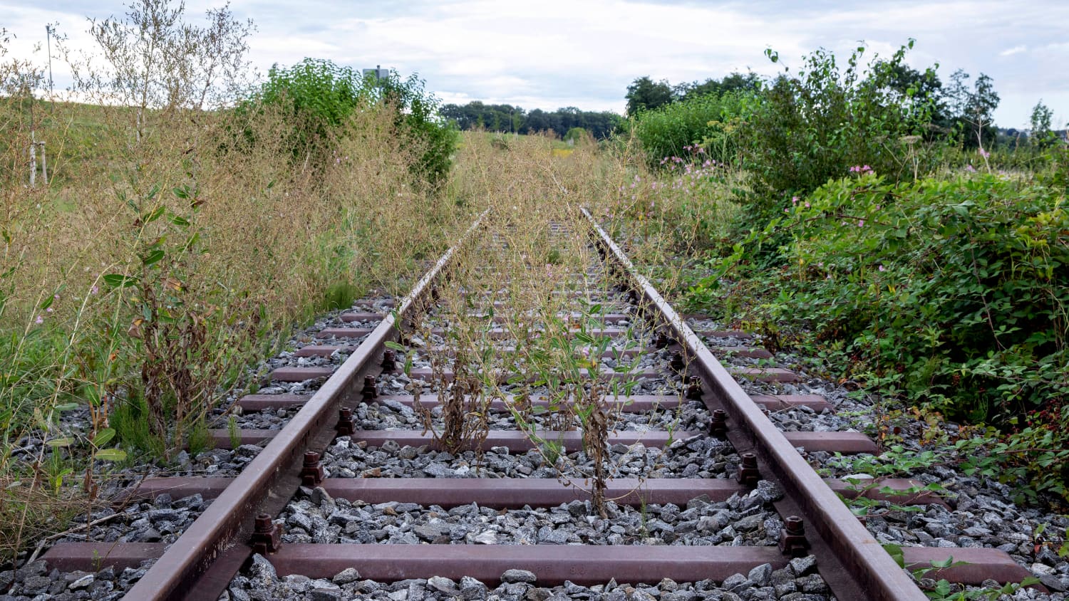 Stillgelegte Bahntrasse