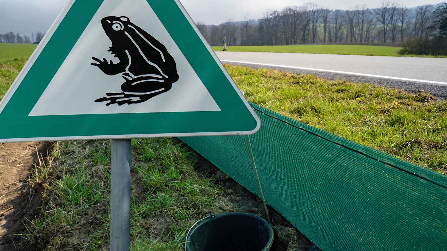 aufgestellte Krötenfangnetze an einer stark befahrenen Kreisstrasse