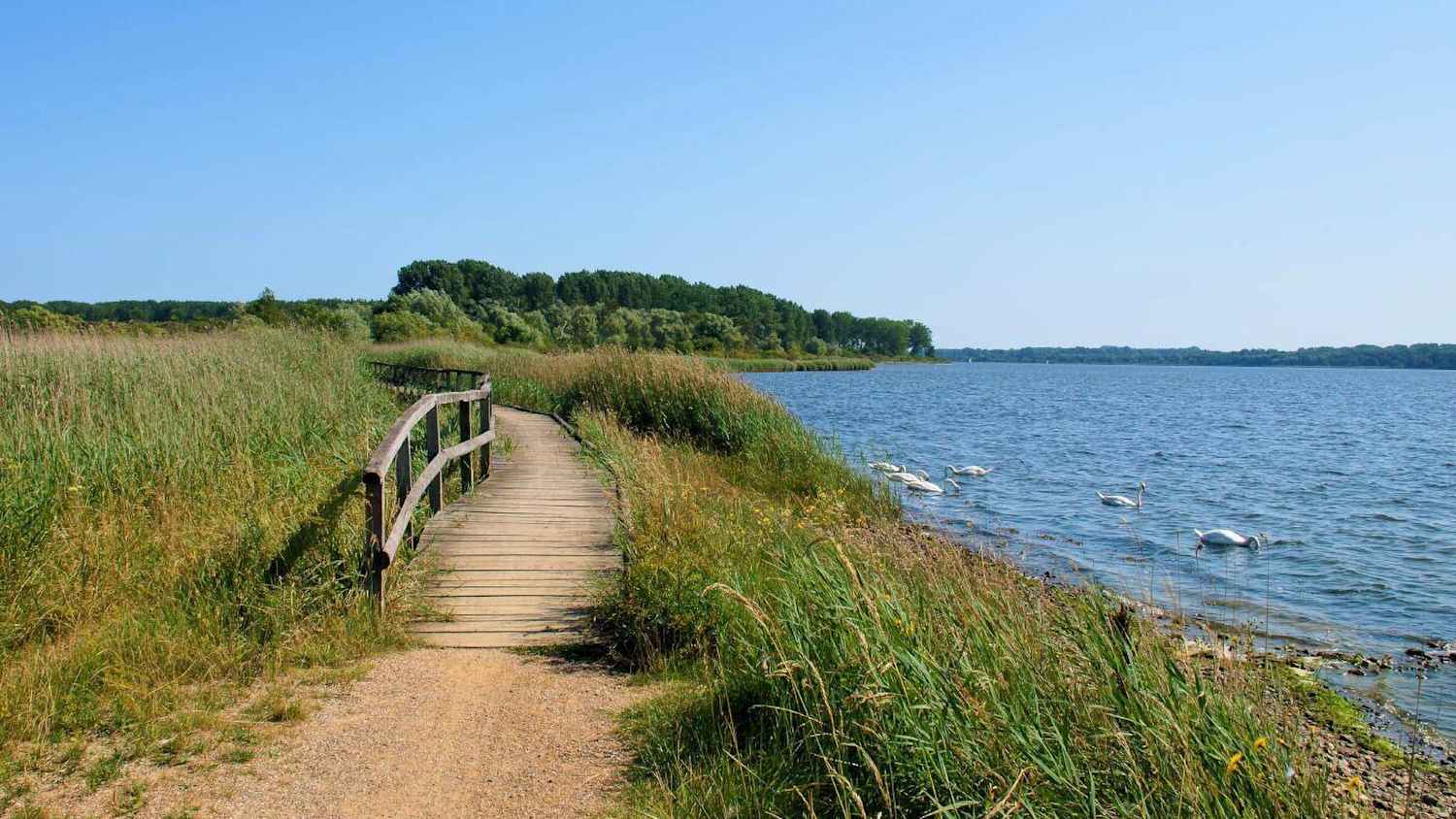 Weg durch die Landschaft von Priwall