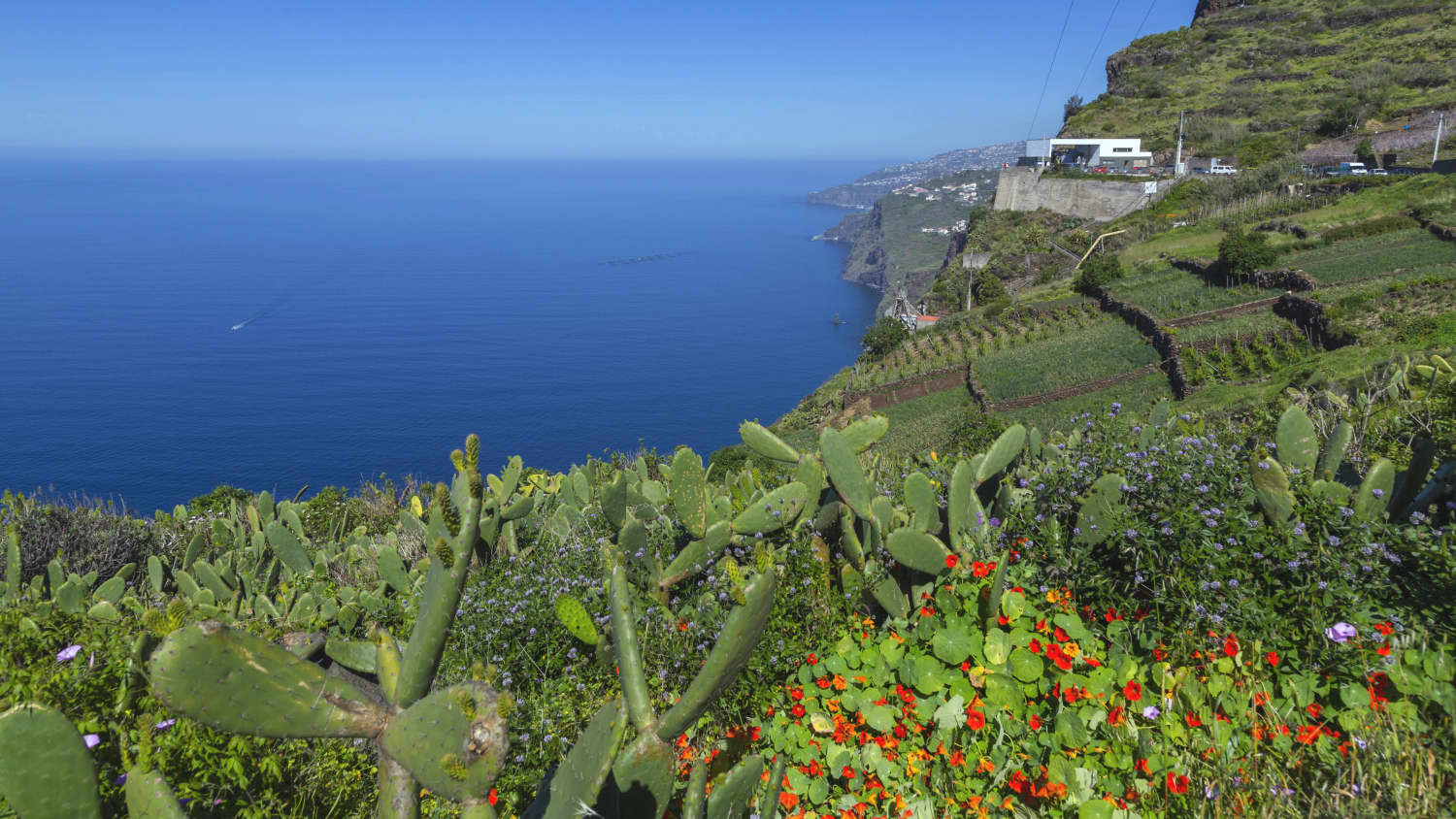Faja dos Padres auf Madeira