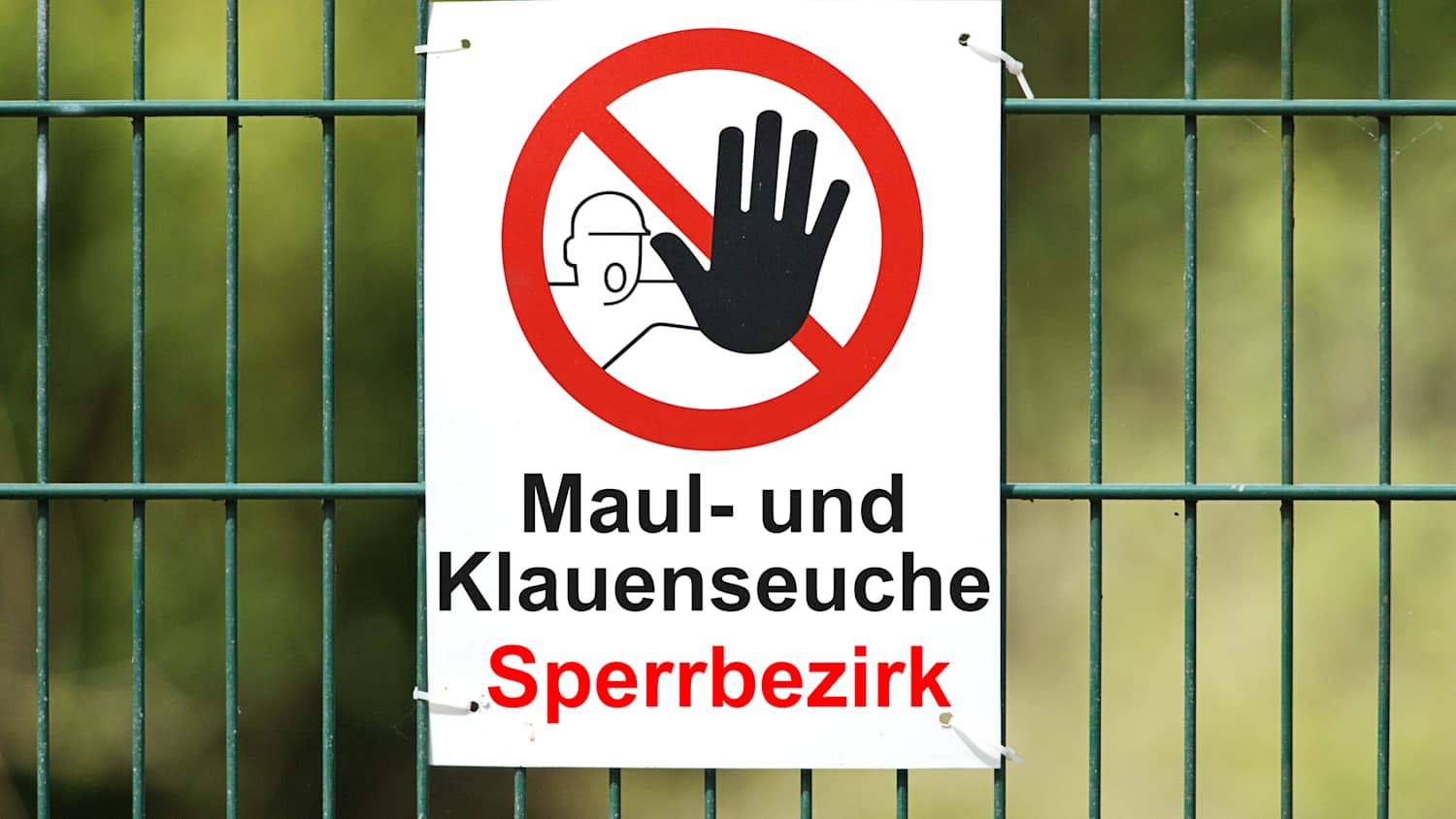 Ein Warnschild zur Maul- und Klauenseuche welches an einem Zaun hängt