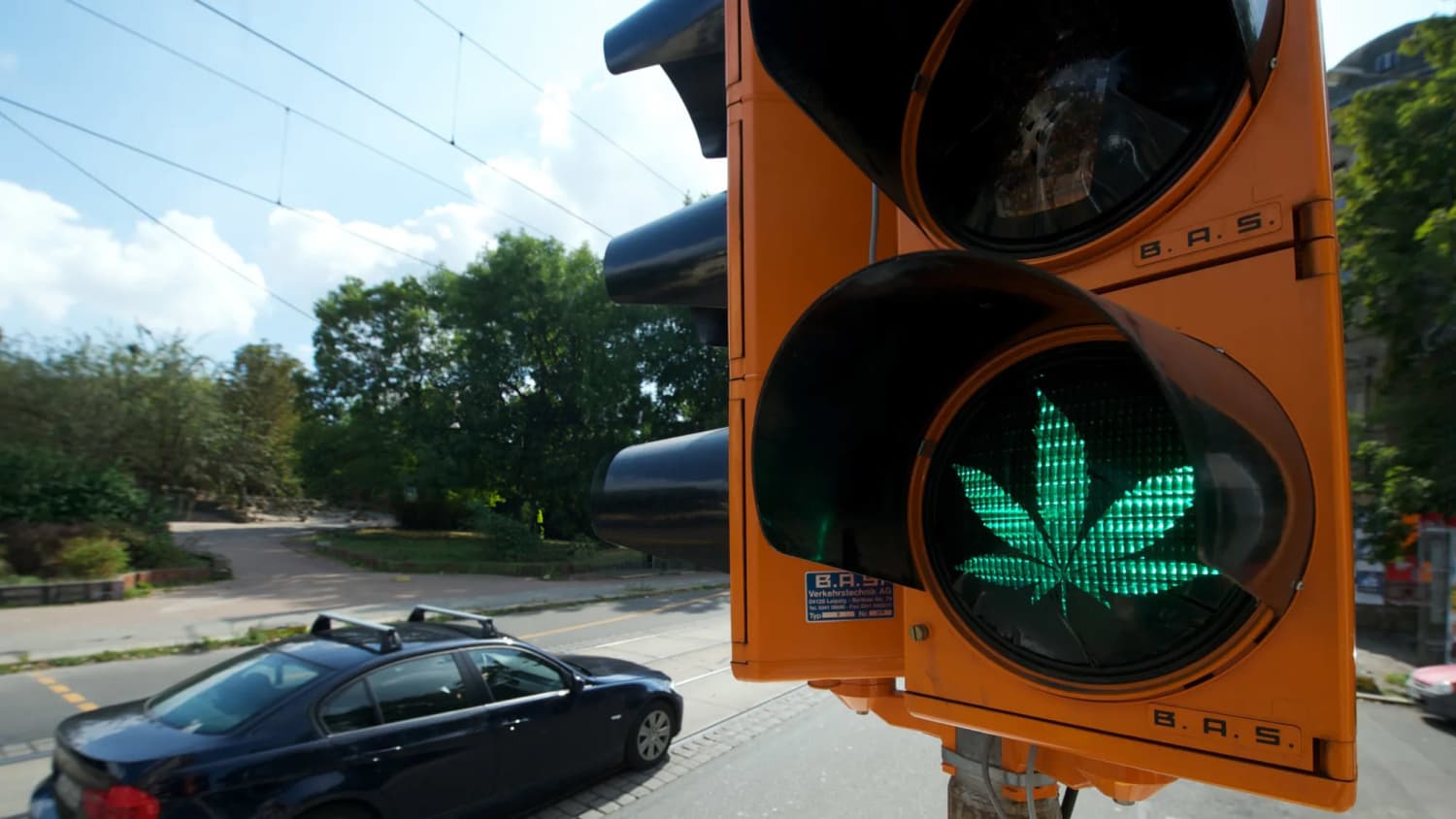 Der negative Scherenschnitt eines Cannabis-Blattes ist auf das Grün einer Behelfsampel in Leipzig geklebt. Im Hintergrund ist ein Auto zu sehen.