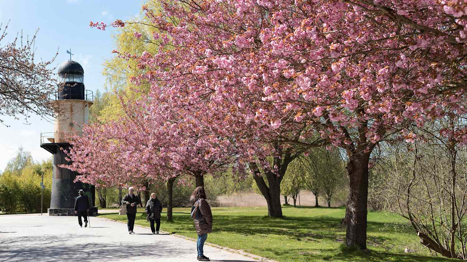 Besucher im IGA-Park in Rostock