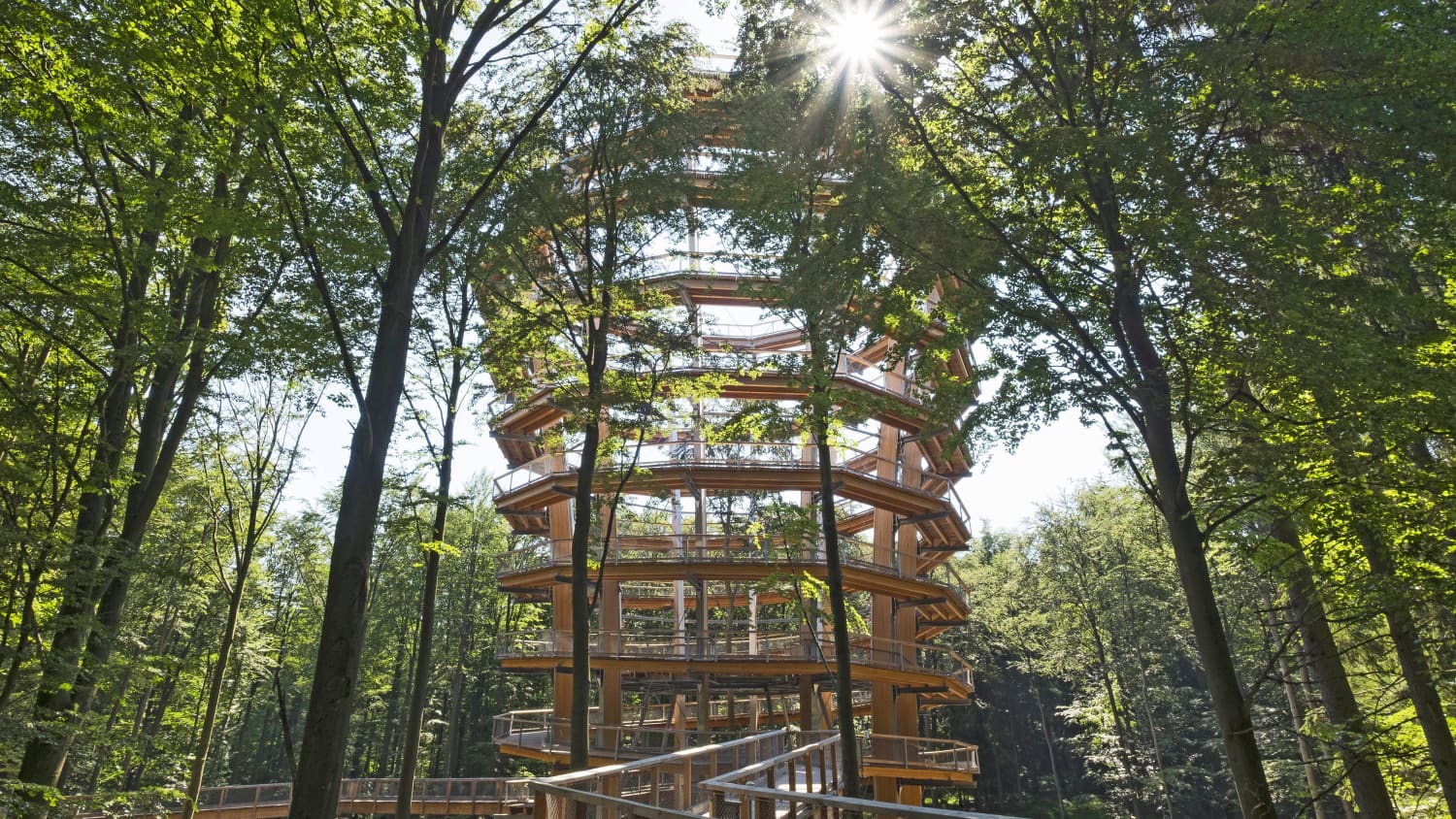 Der Baumwipfelpfad im Oberfränkischen Ebrach im Gegenlicht