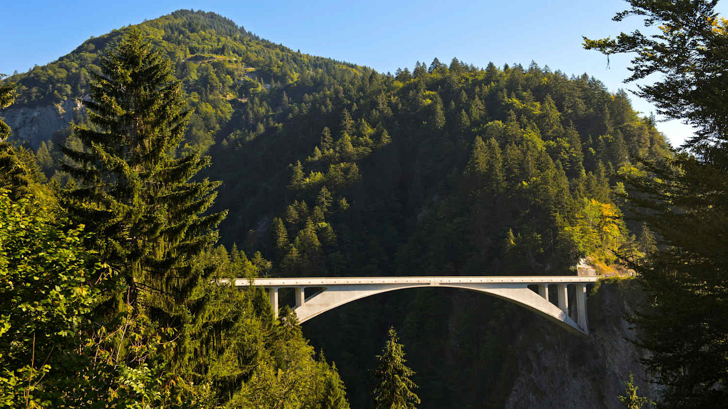 Die Salginatobelbrücke bildet das Kernstück der Verbindungsstrasse von Schiers nach Schuder