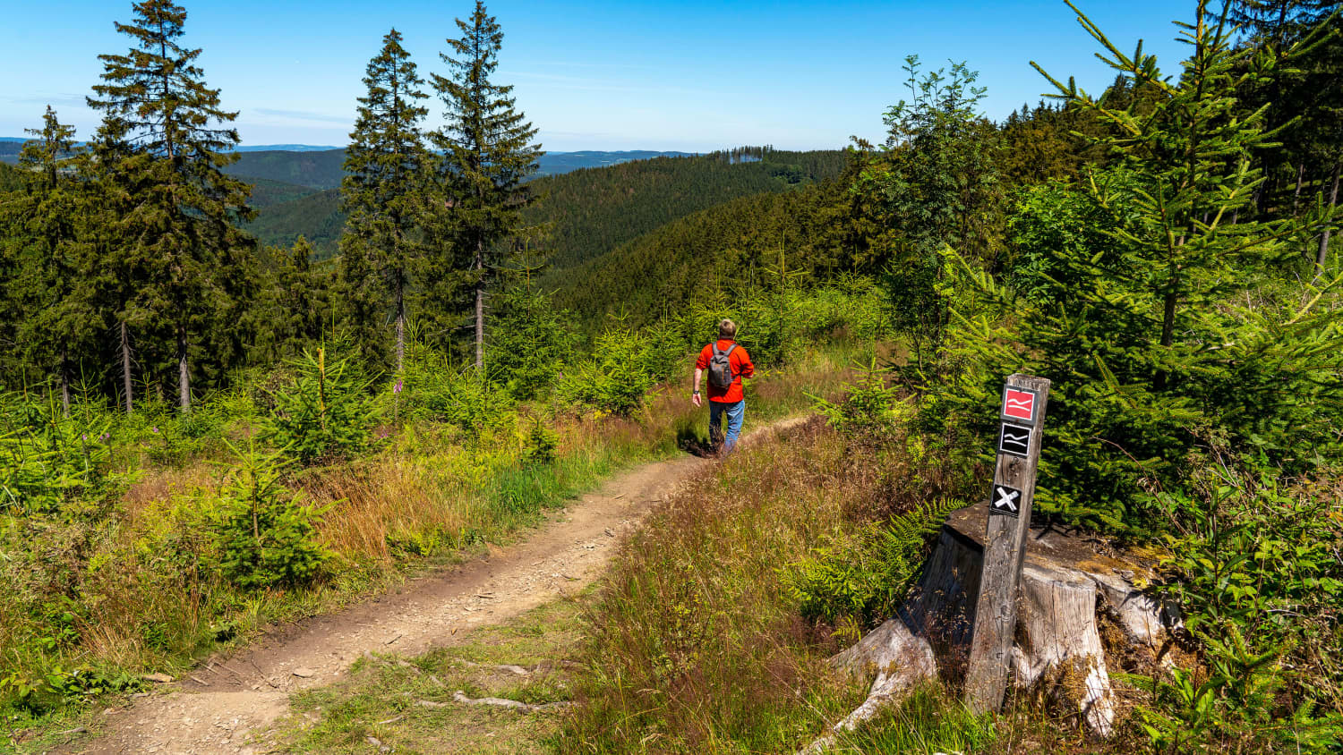 Ein Mann wandert auf dem Rothaarsteig