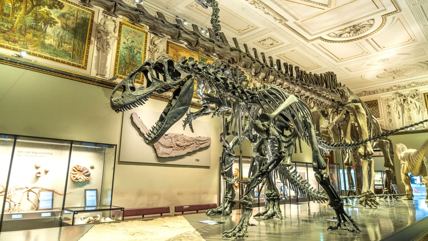 Sauriersaal im Naturhistorischen Museum in Wien