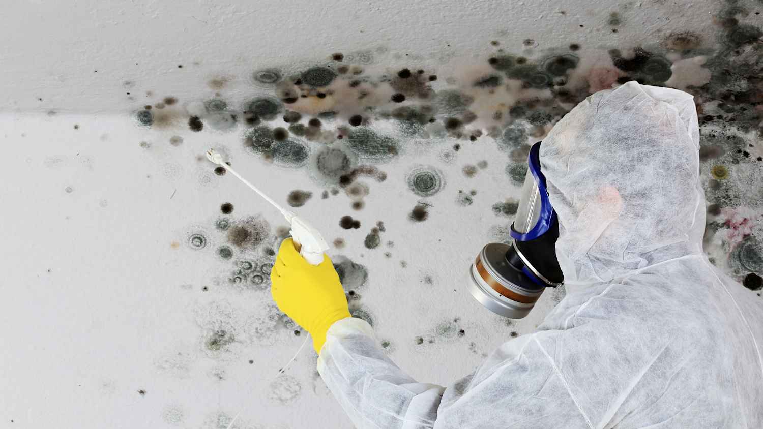 Mann Profi in Atemschutzmaske beim Entfernen von Schimmel Pilz