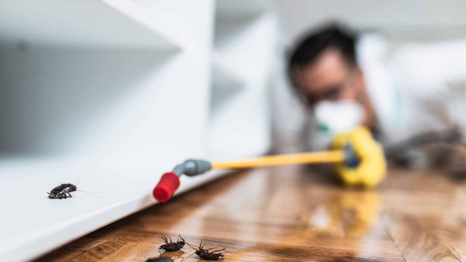 Kammerjäger in Arbeitskleidung versprüht Pestizide mit Sprühgerät in der Wohnung