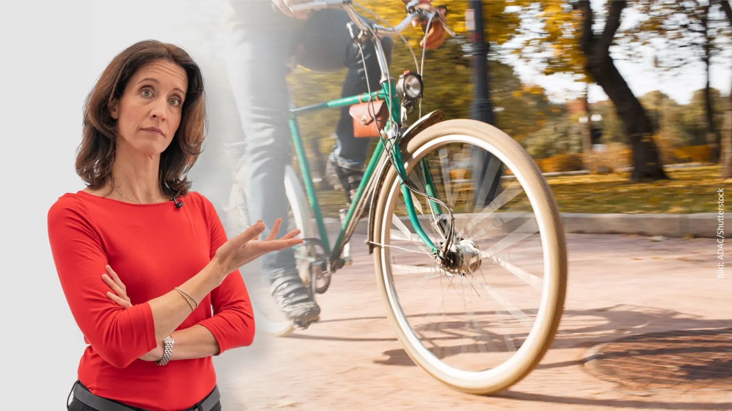 gazelle hollandrad gebraucht Gazelle G-Touren Damen Hollandrad 28 Zoll 5-Gang Rcktritt kaufen  Der  Hollnder Fahrradgeschft