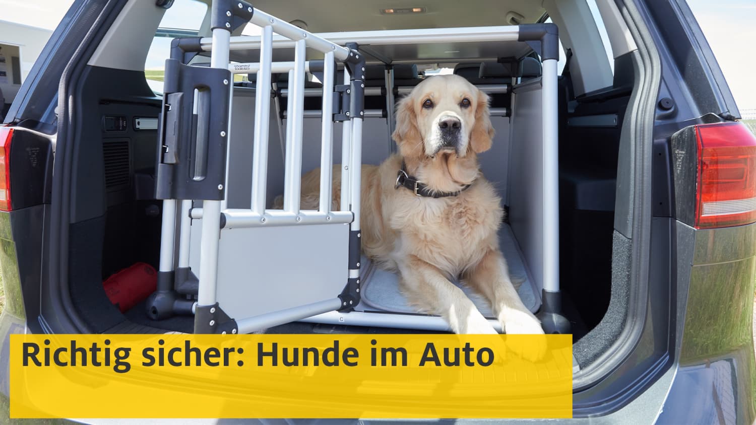 Auto Sicherheitsgurt für Hunde mit Adapter für Gurtschloss und Isofix