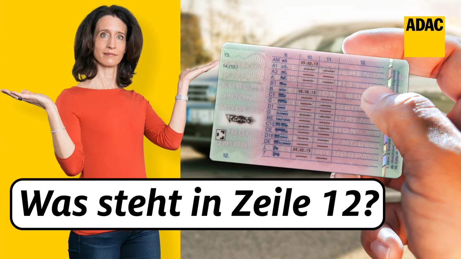 Schlüsselzahlen für Eintragungen in den Führerschein - Fahrlehrerverband  Baden-Württemberg
