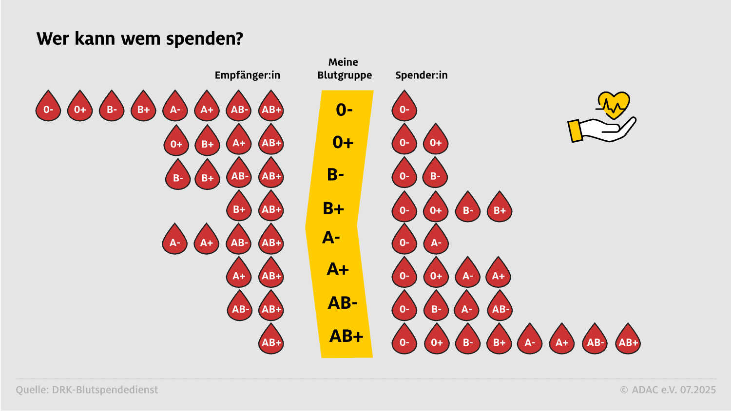 Blutgruppen Kompatibilität